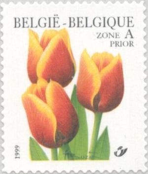 Colnect-181-247-Tulip-Triumph--quot-Kees-Nelis-quot--.jpg