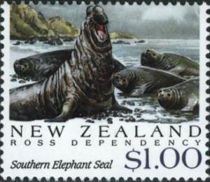 Colnect-2109-201-Southern-Elephant-Seal-Mirounga-leonina.jpg