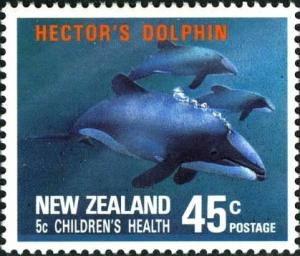 Colnect-2247-523-Hector-s-Dolphin-Cephalorhynchus-hectori.jpg