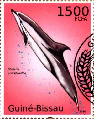 Colnect-3739-575-Striped-Dolphin-Stenella-coeruleoalba.jpg