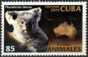 Colnect-4365-731-Koala-Phascolarctos-cinereus.jpg