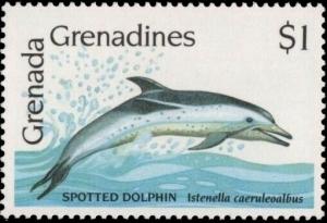 Colnect-6014-134-Striped-Dolphin-Stenella-caeruleoalba.jpg