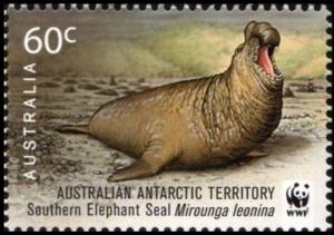 Colnect-6273-486-Southern-Elephant-Seal-Mirounga-leonina.jpg