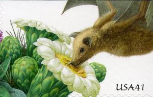 Colnect-887-754-Leaf-nosed-Bat-Glossophaginae-Saguaro-Cactus-Carnegiea-g.jpg