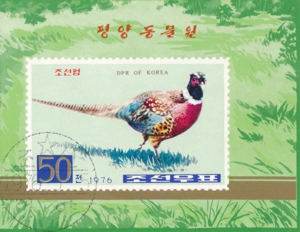 Colnect-3256-093-Ring-necked-Pheasant-Phasianus-colchicus.jpg