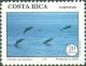 Colnect-1270-987-Striped-Dolphin-Stenella-coeruleoalba.jpg