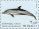 Colnect-149-541-Striped-Dolphin-Stenella-coeruleoalba.jpg