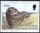 Colnect-3484-523-Southern-Elephant-seal-Mirounga-leonina.jpg