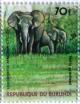 Colnect-555-045-African-Forest-Elephant-Loxodonta-africana-cyclotis.jpg