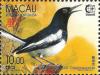 Colnect-1495-672-Oriental-Magpie-robin-Copsychus-saularis.jpg