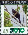 Colnect-2134-816-Trinidad-Piping-guan-Pipile-pipile.jpg