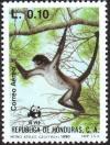 Colnect-3527-305-Black-handed-Spider-Monkey-Ateles-geoffroyi.jpg