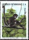 Colnect-3527-306-Black-handed-Spider-Monkey-Ateles-geoffroyi.jpg