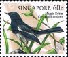 Colnect-5062-455-Oriental-Magpie-Robin-Copsychus-saularis.jpg