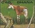 Colnect-2366-356-Okapi-Okapia-johnstoni.jpg