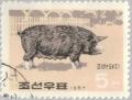 Colnect-2613-486-Domestic-Pig-Sus-scrofa-domestica.jpg