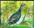 Colnect-3115-562-Trinidad-Piping-guan-Pipile-pipile.jpg