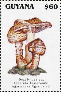 Colnect-3093-111-Lepiota-josserandii.jpg