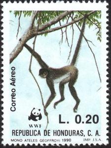 Colnect-3527-307-Black-handed-Spider-Monkey-Ateles-geoffroyi.jpg