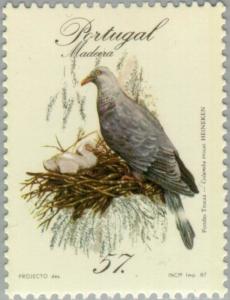 Colnect-186-322-Trocaz-Pigeon-Columba-trocaz.jpg