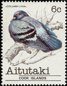 Colnect-2492-994-Rock-Pigeon-Columba-livia.jpg