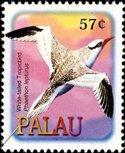 Colnect-3520-963-Red-billed-Tropicbird%C2%A0-%C2%A0Phaethon-aethereus.jpg