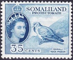 Colnect-1280-451-Somali-Pigeon-Columba-oliviae-.jpg