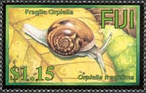 Colnect-1613-734-Fragile-Orpiella-Orpiella-fragillima.jpg