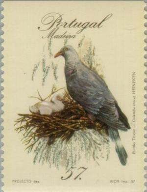 Colnect-186-327-Trocaz-Pigeon-Columba-trocaz.jpg