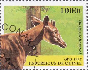 Colnect-2040-449-Okapi-Okapia-johnstoni.jpg