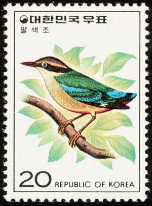 Colnect-2194-498-Indian-Pitta-Pitta-brachyura-.jpg