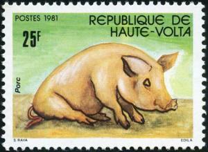 Colnect-2244-799-Domestic-Pig-Sus-scrofa-domestica.jpg