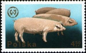 Colnect-3590-278-Domestic-Pig-Sus-scrofa-domestica.jpg