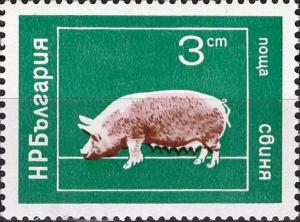 Colnect-4024-243-Domestic-Pig-Sus-scrofa-domestica.jpg