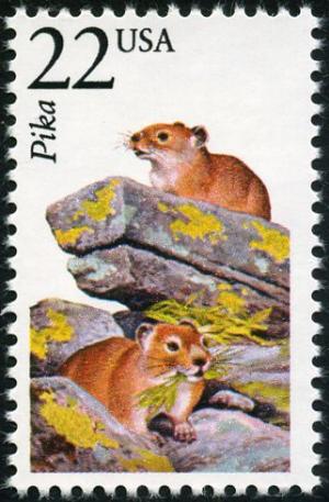 Colnect-5026-789-Alaska-Pika-Ochotona-collaris.jpg