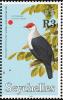 Colnect-1721-668-Seychelles-Blue-pigeon-Alectroenas-pulcherrimus.jpg