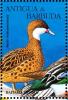 Colnect-4116-727-White-cheeked-Pintail%C2%A0%C2%A0%C2%A0%C2%A0Anas-bahamensis.jpg