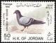 Colnect-1646-650-Rock-Pigeon-Columba-livia.jpg