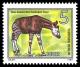 Colnect-1980-924-Okapi-Okapia-johnstoni.jpg