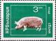 Colnect-4024-243-Domestic-Pig-Sus-scrofa-domestica.jpg