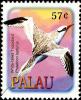 Colnect-3520-963-Red-billed-Tropicbird%C2%A0-%C2%A0Phaethon-aethereus.jpg