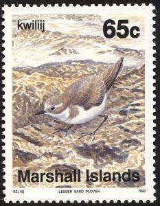 Colnect-1599-531-Lesser-Sandplover-Charadrius-mongolus.jpg