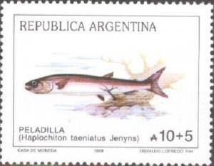 Colnect-1635-845-Peladilla-Haplochiton-taeniatus-Jenyns-.jpg