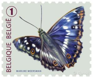 Colnect-2286-140-Lesser-Purple-Emperor-Apatura-ilia-.jpg