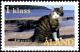 Colnect-5521-064-Randi-First-Place-Felis-silvestris-catus.jpg