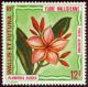 Colnect-905-611-Plumeria-rubra.jpg