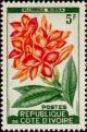 Colnect-955-370-Plumeria-rubra.jpg