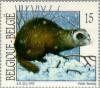 Colnect-186-778-European-polecat-Mustela-putorius.jpg