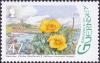 Colnect-4047-841-Yellow-Poppy---Glaucium-flavum.jpg