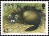 Colnect-4400-300-European-Polecat-Mustela-putorius.jpg